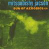 Mitsoobishy Jacson - Sun Of Aerobics